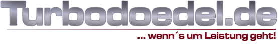 LOGO_Turbodoedel_2023_554x88